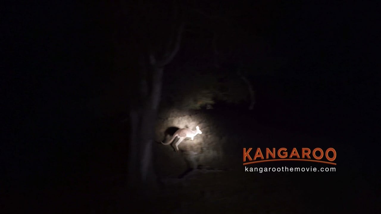 Kangoeroefamilie