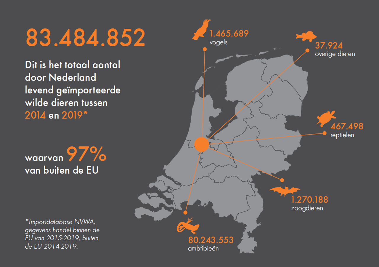 Handel in wilde dieren in Nederland