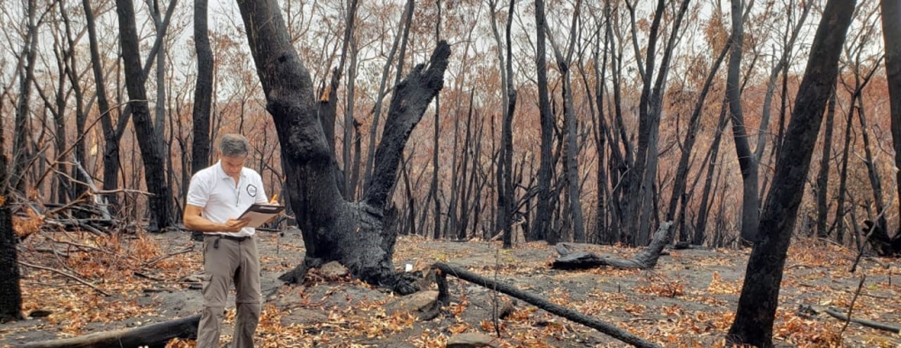 World Animal Protection medewerker onderzoekt afgebrand gebied in Australië