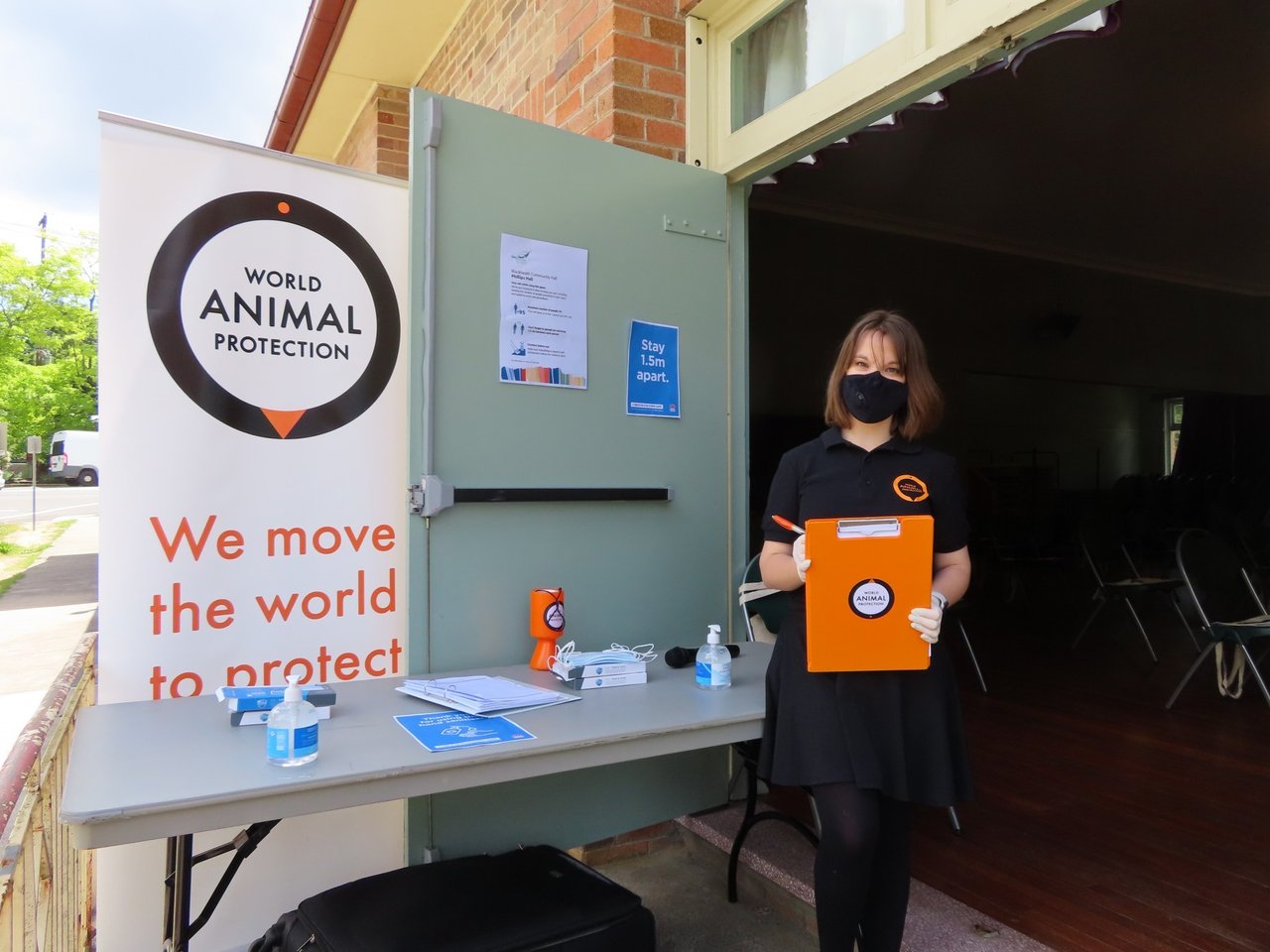 Workshop World Animal Protection in Blue Mountains