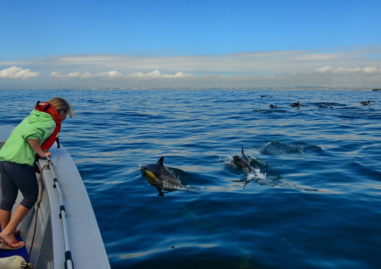 Mulher debruçada no braço de um barco, que está em alto mar, observando golfinhos que nadam ao lado da embarcação.
