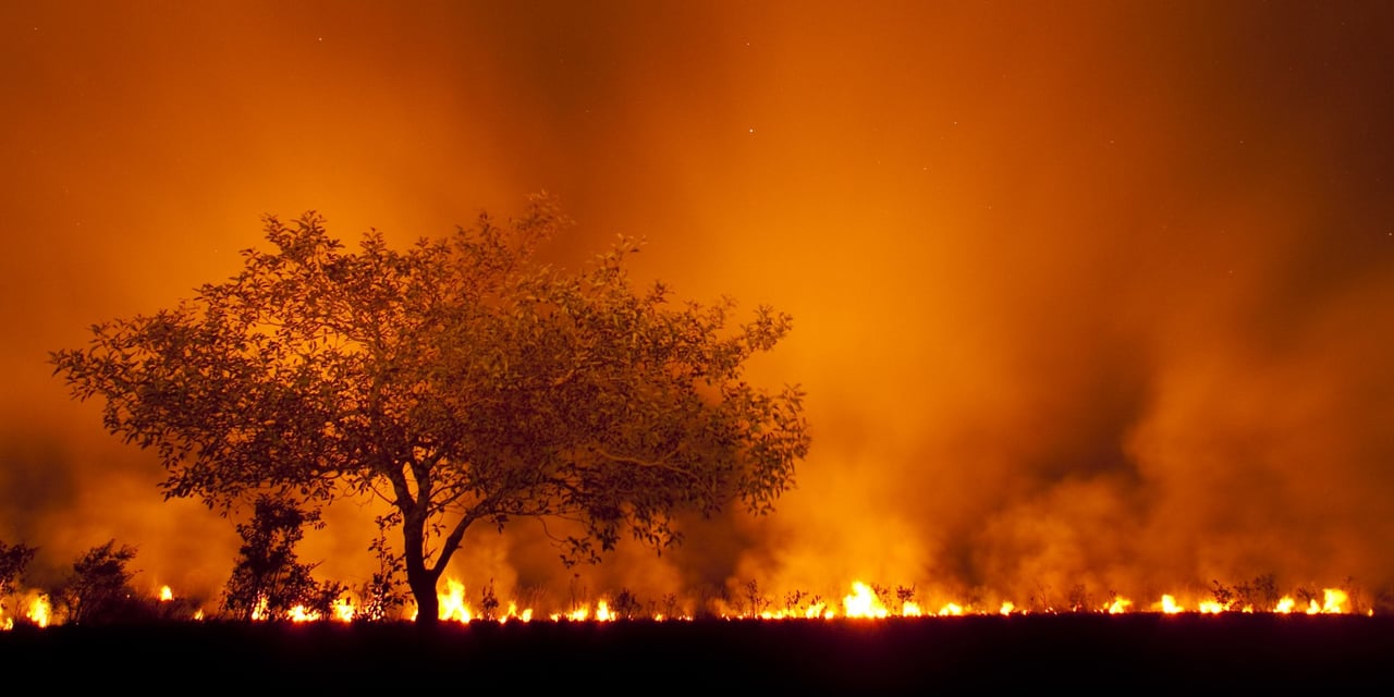 Grote brand in Brazilië