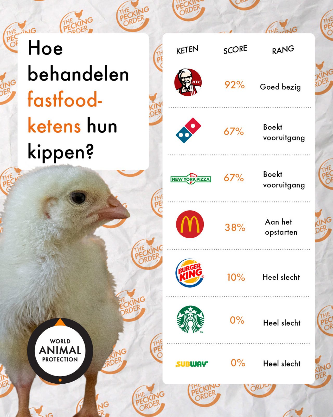 The Pecking Order ranking Nederland