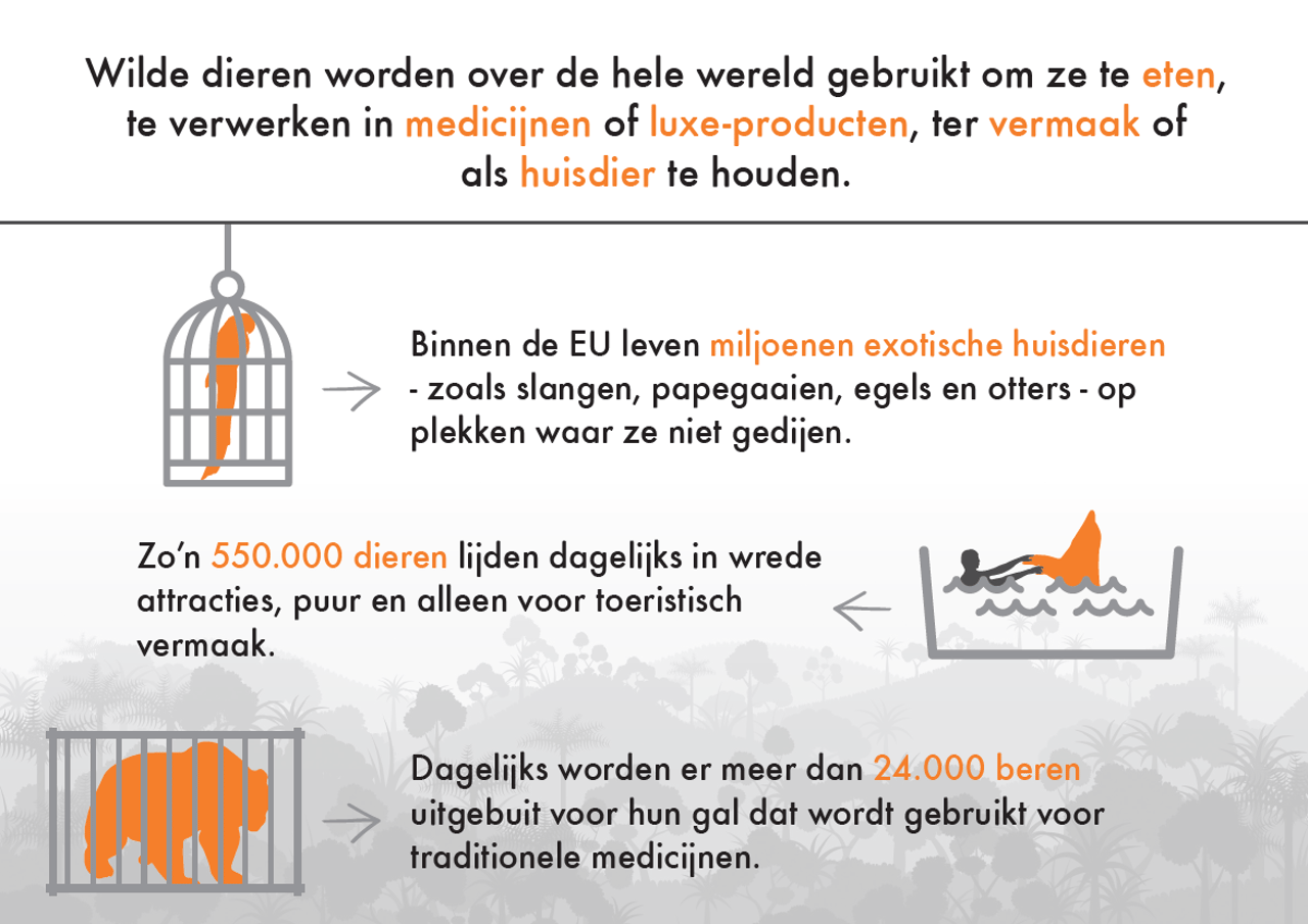 Handel in wilde dieren in Nederland