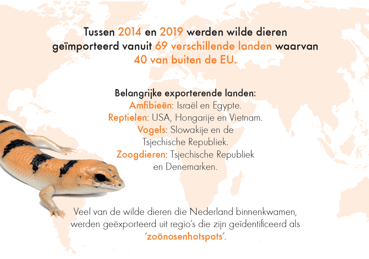 Handel in wilde dieren in Nederland