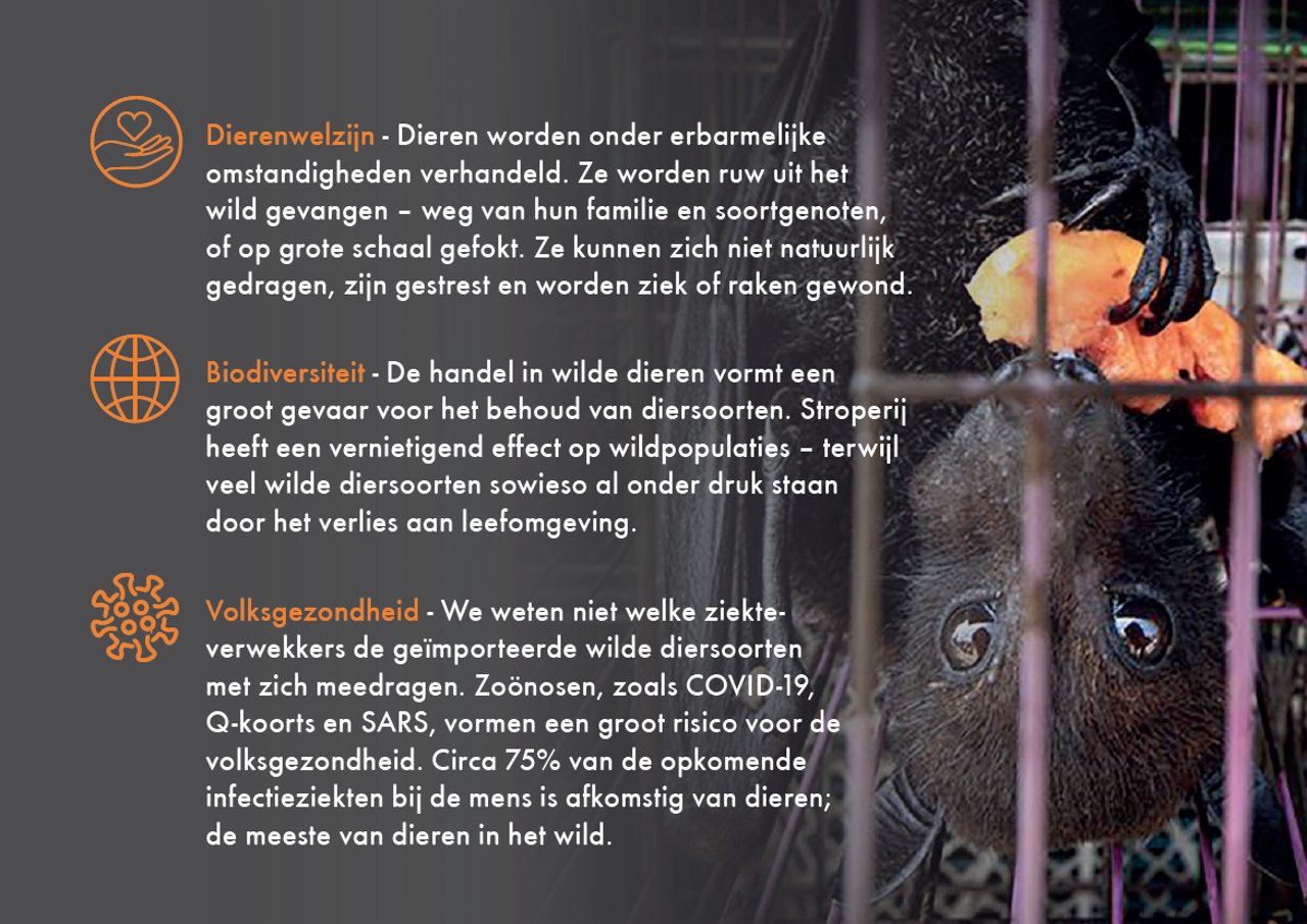 Handel in wilde dieren in Nederland