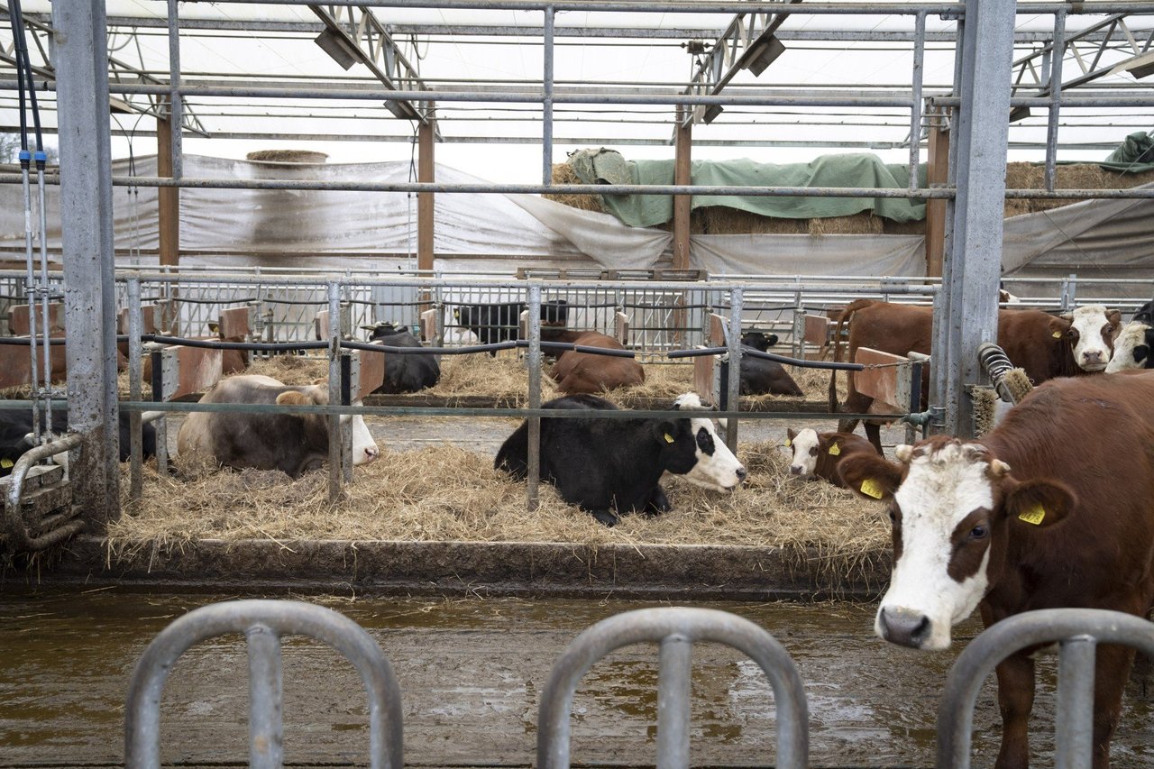 Uitje naar een biologische boerderij