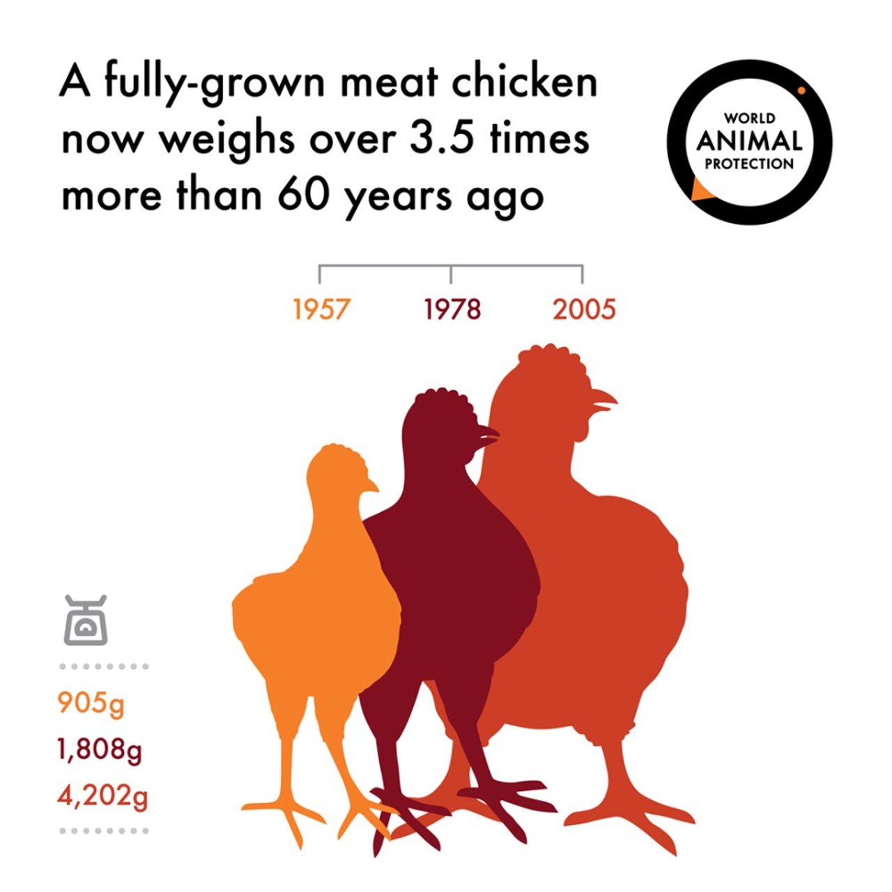 chickens_infographics_7_social-media_-_voorkeur