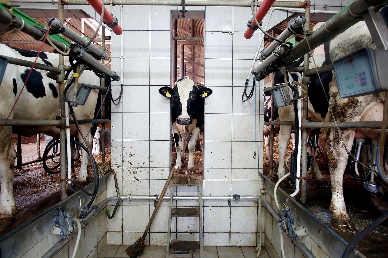 factory-farming-change