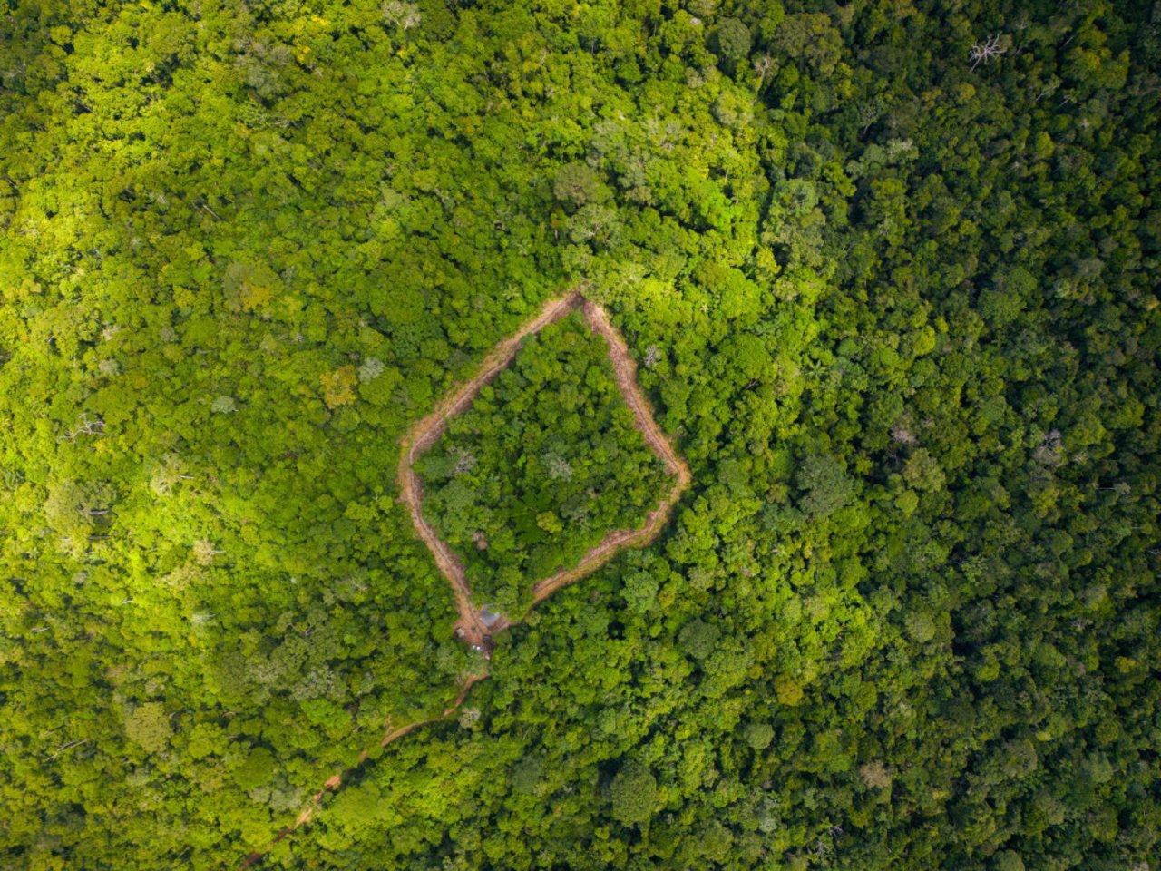 Vista aérea do recinto de reabilitação em que Xamã permanecerá por até dois anos - Crédito: Noelly Castro/Proteção Animal Mundial