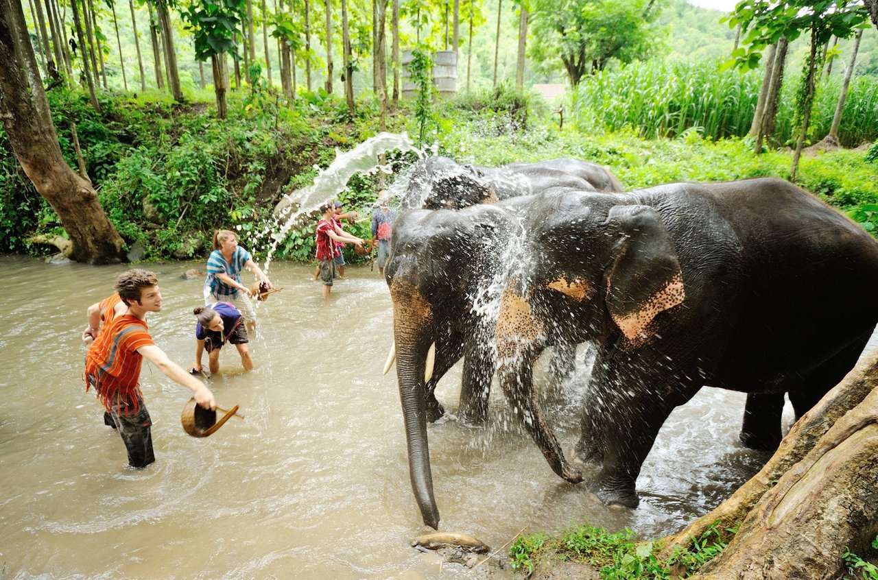 Olifant gooit zand op rug