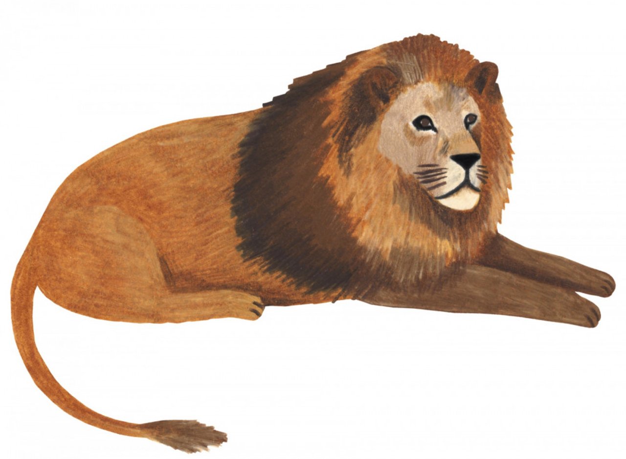 Lieke illustratie leeuw