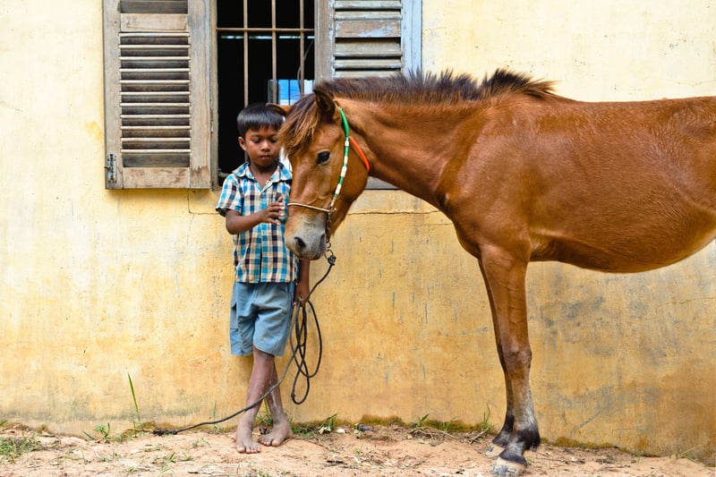 Jongen met paard in Cambodja