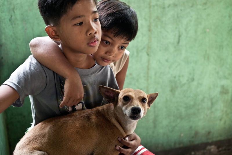 hond bij vaccinatiekliniek Filipijnen