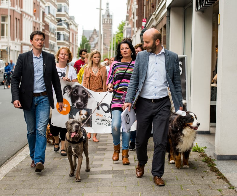 Hondenwandeling naar ambassades om 85.000 handtekeningen aan te bieden
