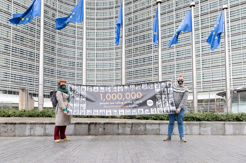 Handtekeningen worden aangeboden aan de Europese Unie