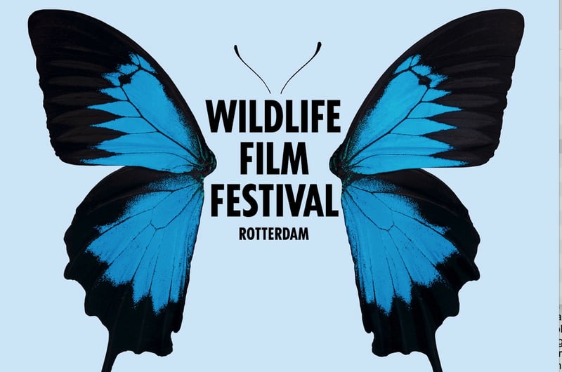 WFFR_filmfestival