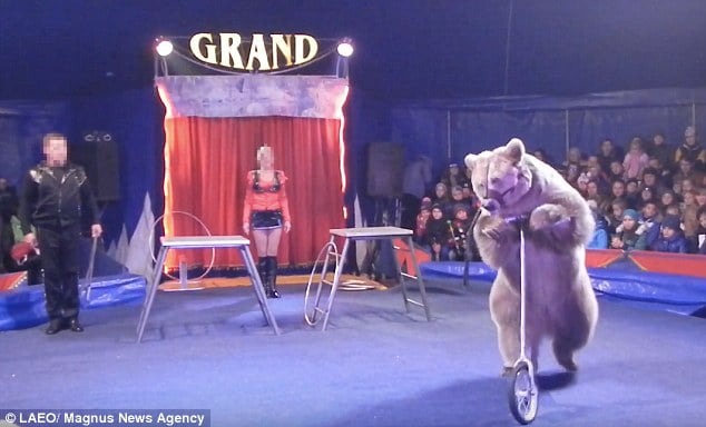 beer circus