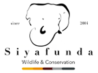 Siyafunda Wildlife & Conservation logo