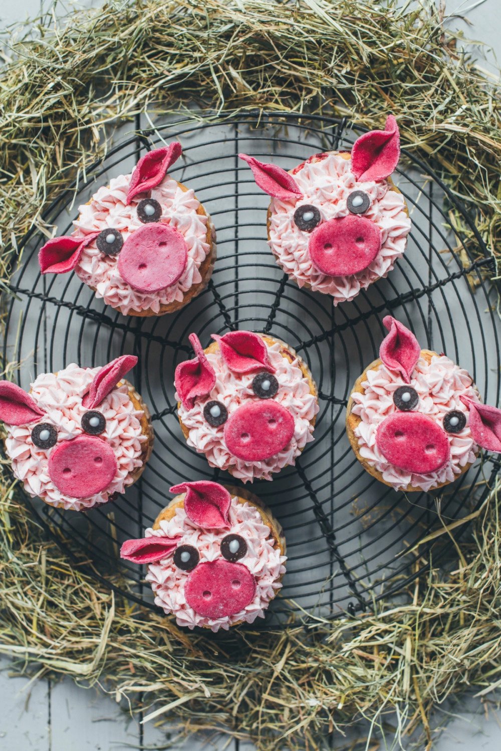 Pig cakes