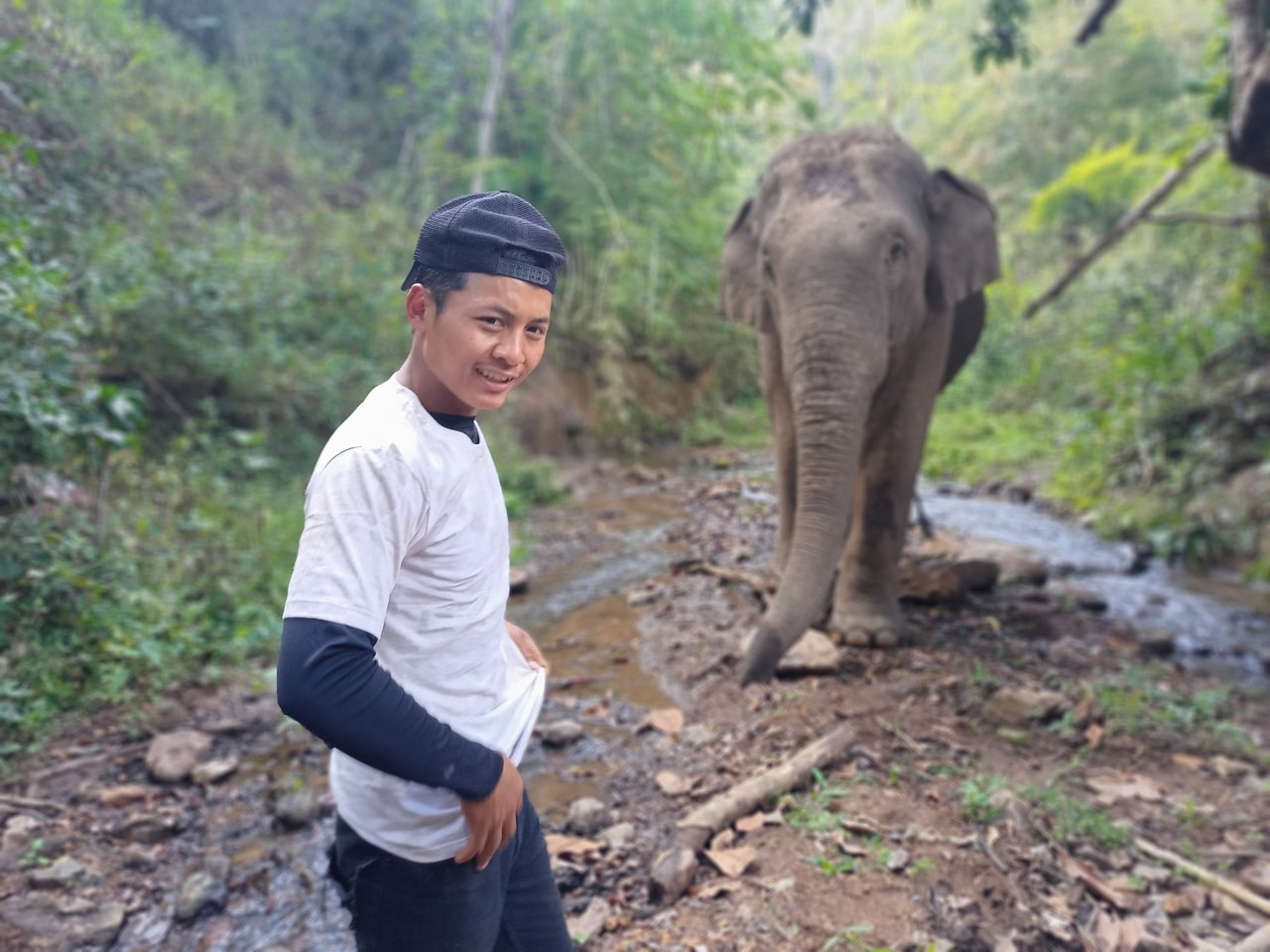 Olifant Dodo met mahout Sathin