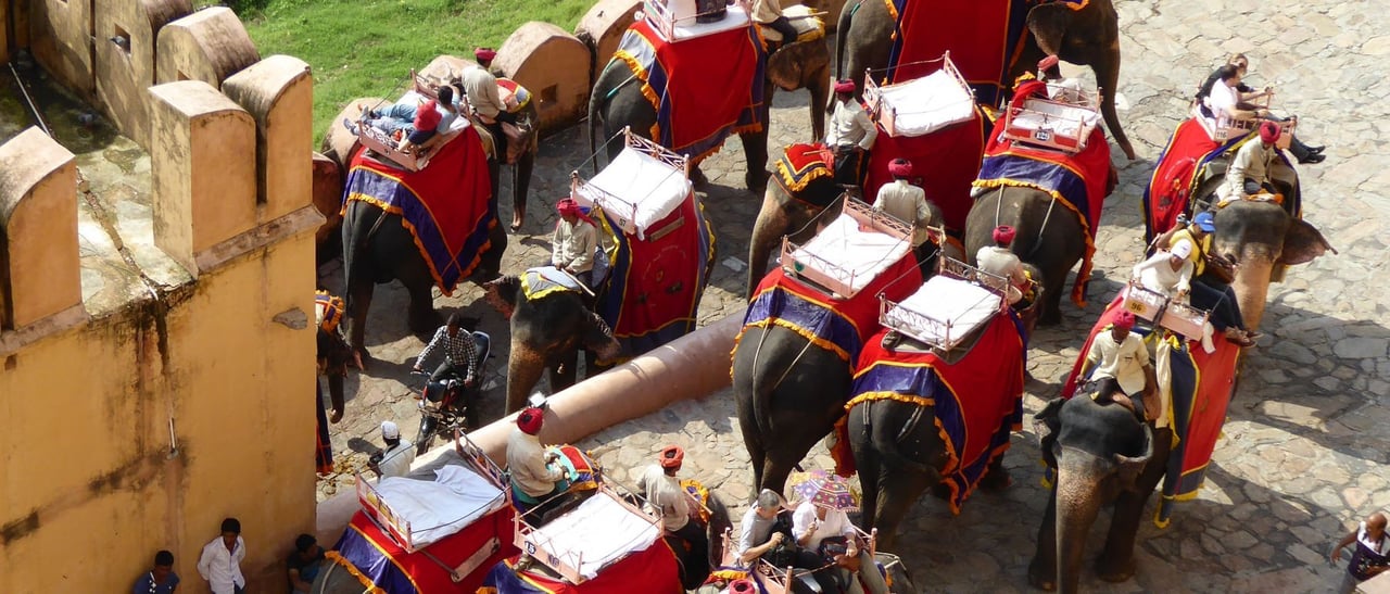 Olifanten staan klaar bij Amer Fort voor olifantenritten