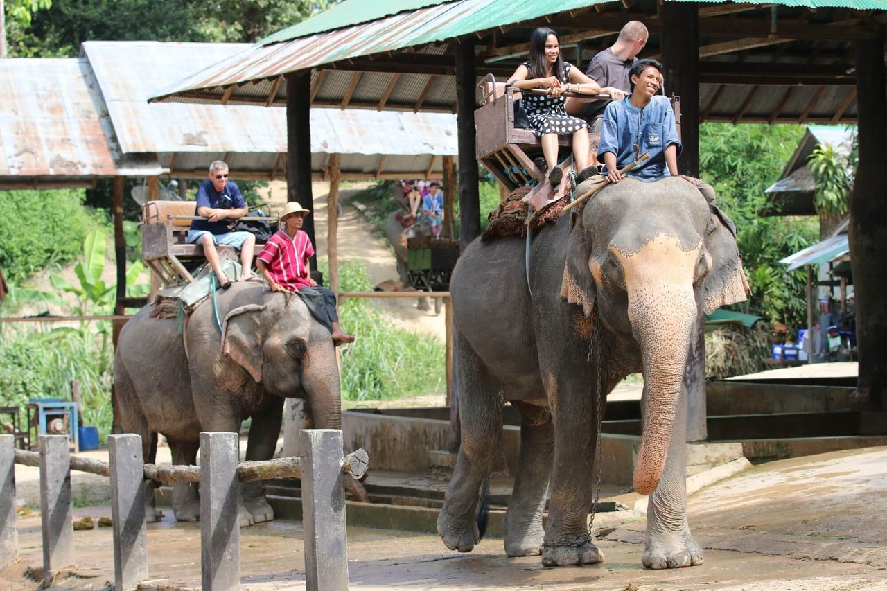 Lachende toeristen zitten op de ruggen van olifanten
