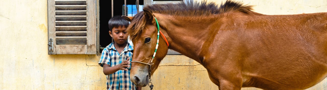 Jongen met pony