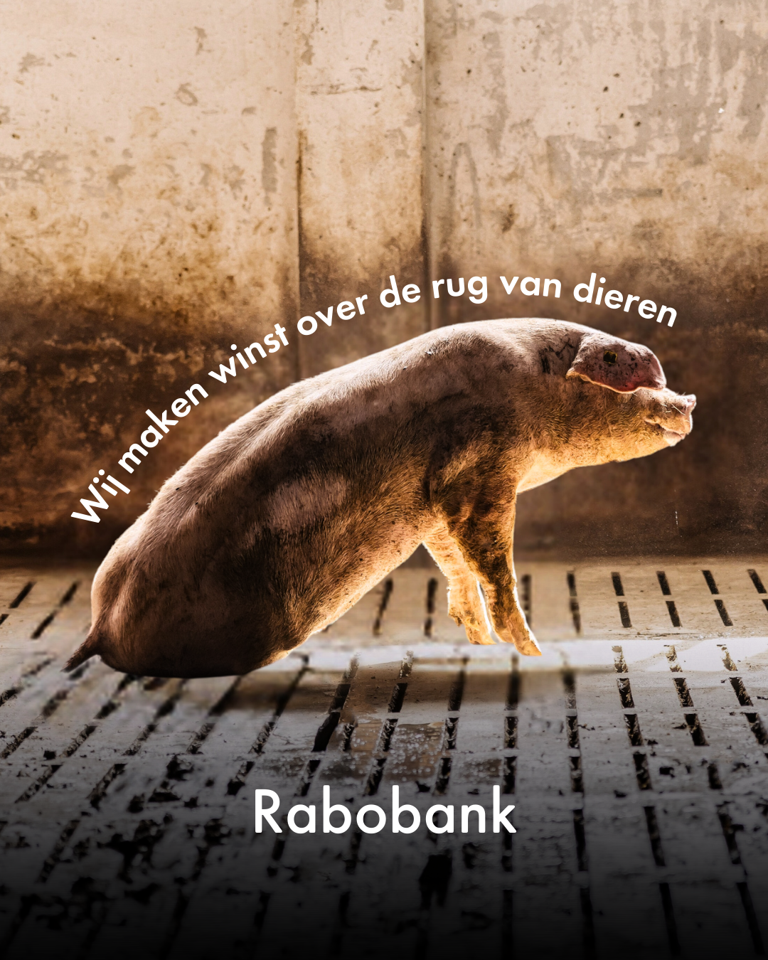 Poster Rabobank maakt winst over de rug van dieren