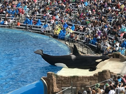 orka
