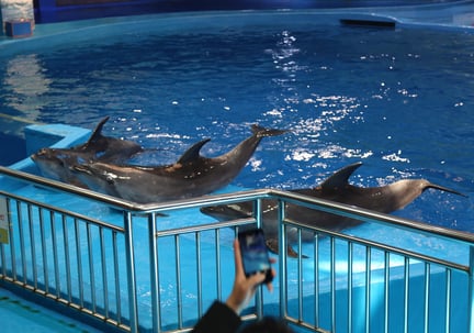 Taiji