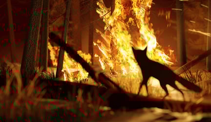 Vos in bosbrand