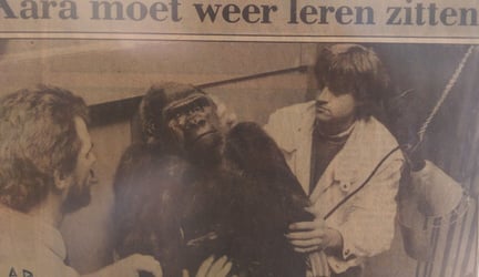 Dierenarts John Woudstra behandelde wilde dieren in de dierentuin