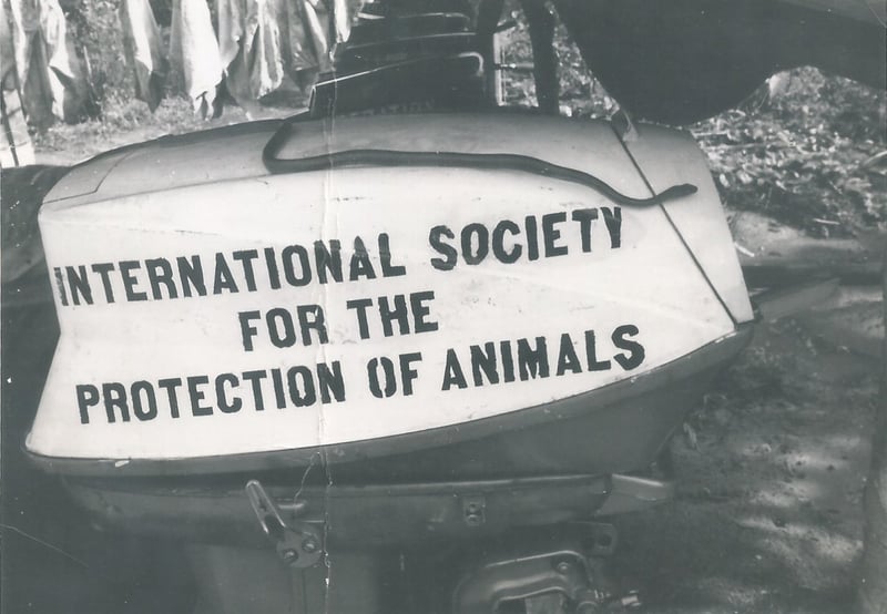 International Society for the Protection of Animals (ISPA)
