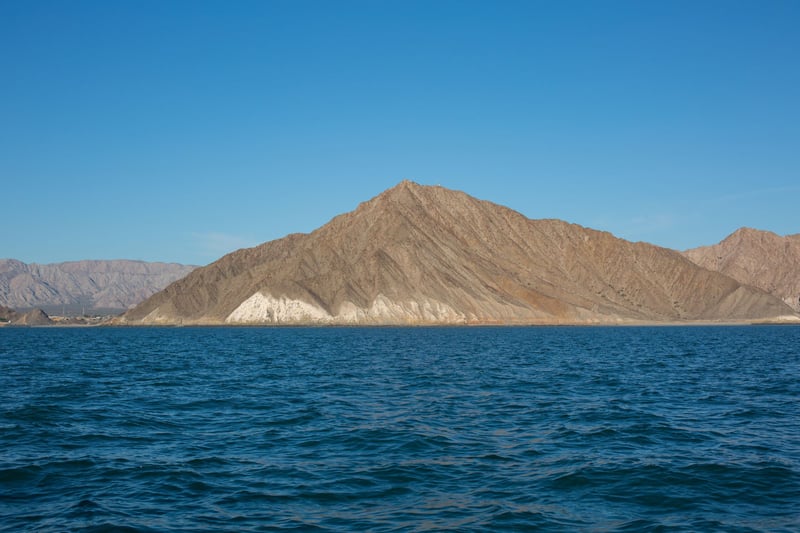 Vaquita's bedreigd door spooknetten