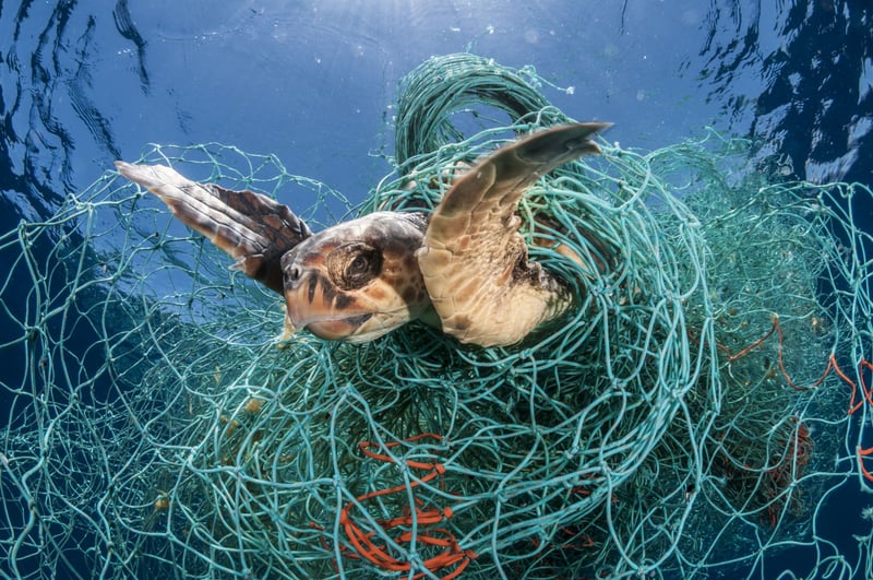 spookvistuig, ghost gear