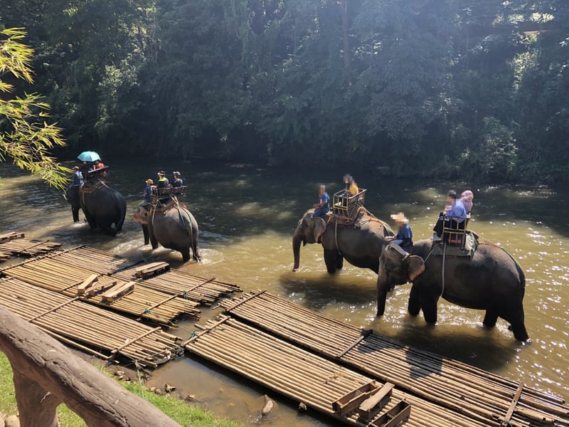 Toeristen op de rug van een olifant