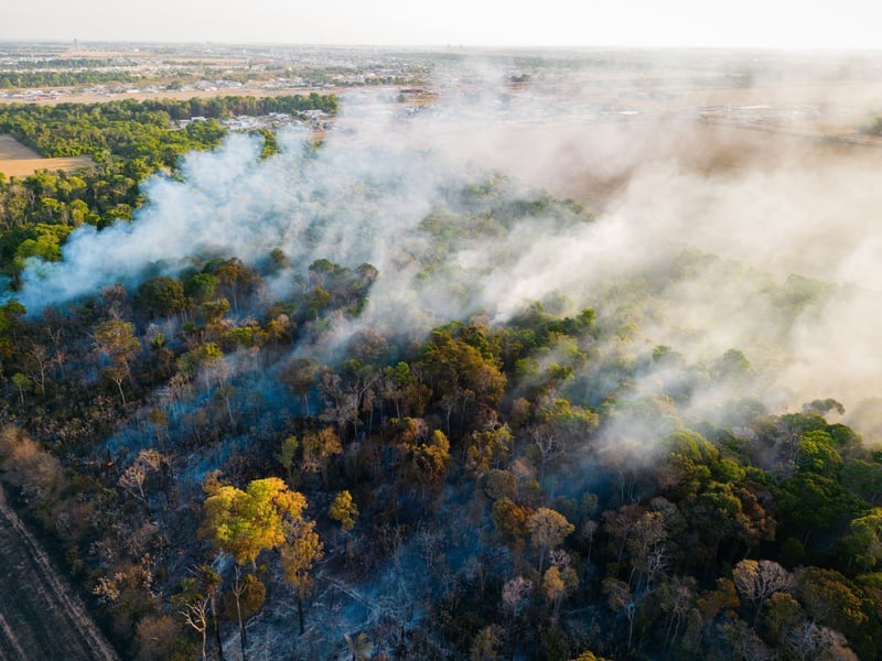 Forest fires in SINOP Municipality, Brazil