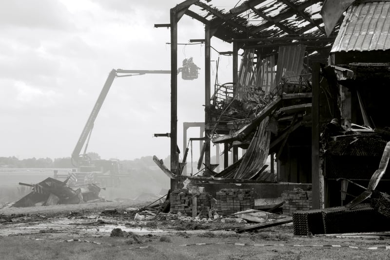stalbrand, kippen, varkens, dierenwelzijn, dierencoalitie