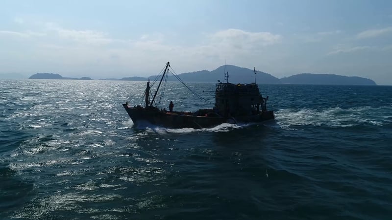 Spookvistuig moet bestreden worden door marines
