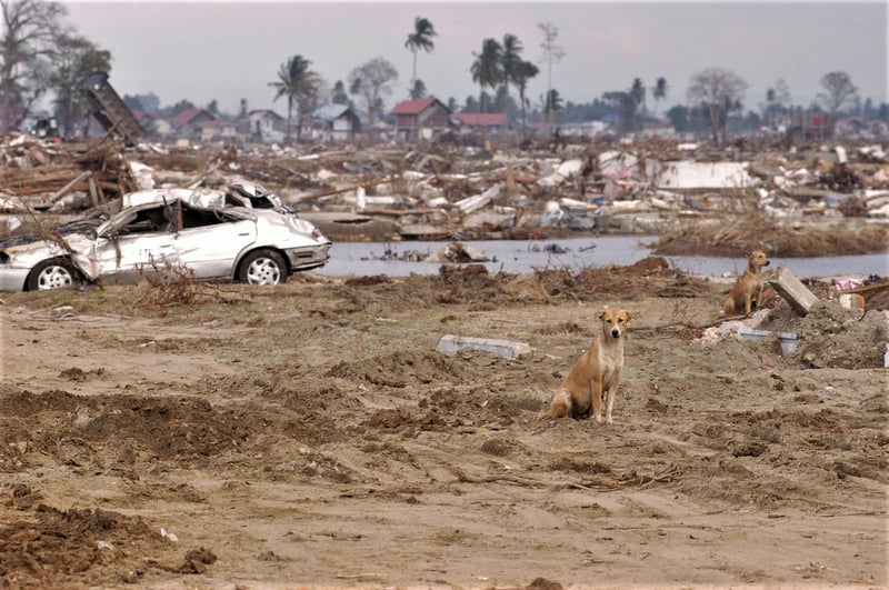 Tsunami Sulawesi