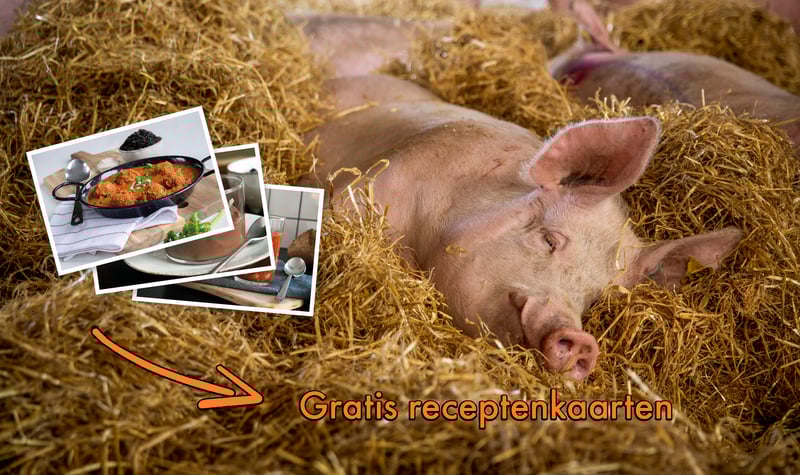 varken, stro, vegan, eet geen dierendag