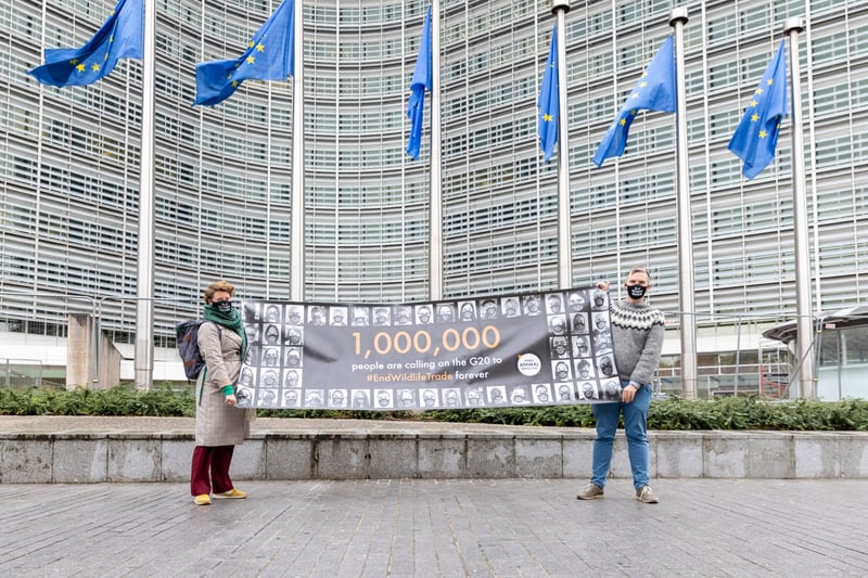 Handtekeningen worden aangeboden aan de Europese Unie