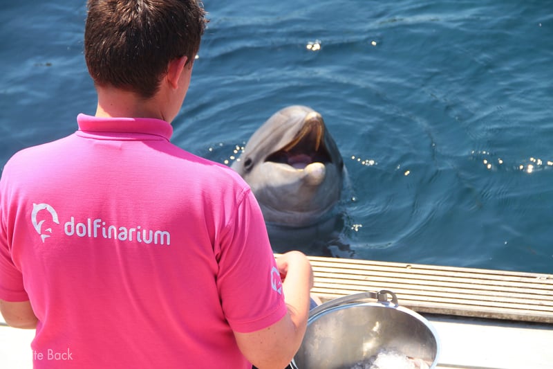 Dolfinarium Bite Back