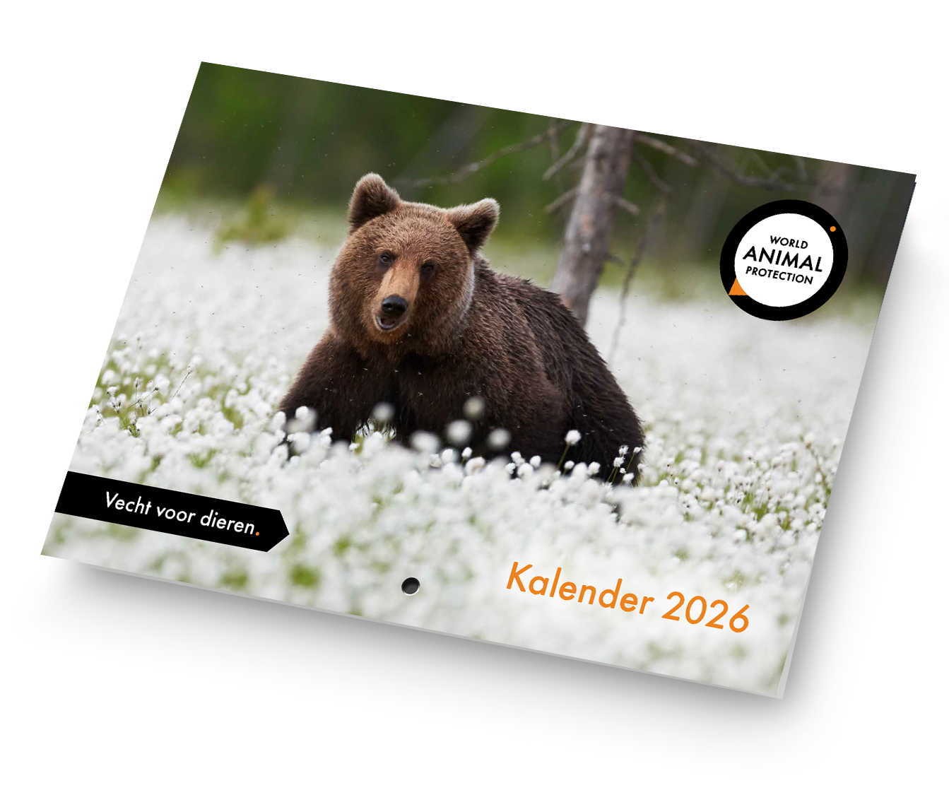 Kalender 2026